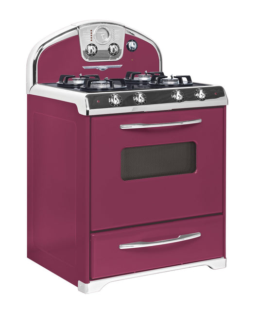 Pick Your Color! Custom Colored Retro Northstar Appliances