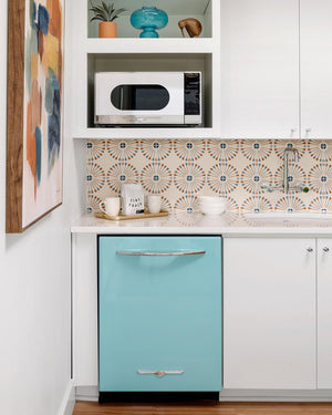 Northstar Dishwasher/Panels